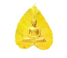 Buddha Statue, Meditation und ein hell Gelb Bodhi Blatt wie Hintergrund Visakha Bucha Tag Konzept. foto