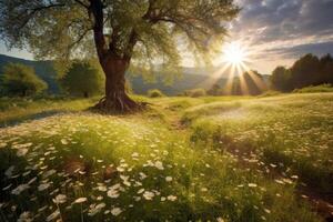 Frühling Blühen Wiese mit Baum im Hintergrund beim Sonnenaufgang. generativ ai foto