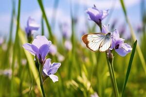 lila Schmetterling auf wild Weiß violett Blumen im Gras. generativ ai foto