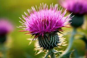 Milch Distel Blume schließen hoch. generativ ai foto