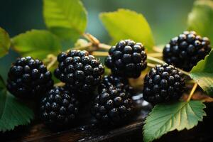 reif Brombeeren und Blätter auf ein Busch Nahansicht. generativ ai foto