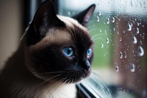 schließen oben von Katze suchen aus von Fenster mit Regen Tropfen auf Es. generativ ai foto