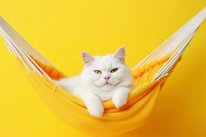 Porträt von schön Weiß Katze mit Sonnenbrille auf Gelb Stoff Hängematte isoliert auf Gelb Hintergrund generativ ai foto