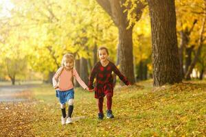 zwei wenig Mädchen im Herbst Park foto