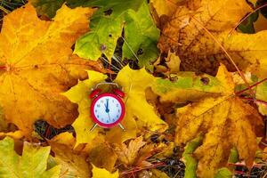 Uhren und Herbst Blätter, Std von Herbst foto