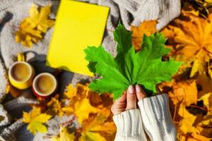 Mädchen halten Ahorn Blatt im Herbst Park foto