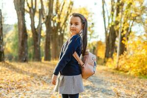 wenig Schülerin in der Nähe von das Schule. Vorschule Kind mit ein Rucksack auf seine zuerst Tag beim Schule oder Kindergarten. zurück zu Schule. Kind Bildung. Herbst foto