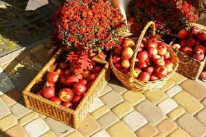 rot reif Äpfel im Scheffel Körbe beim das Landwirte Markt foto