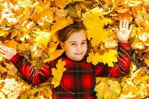 süß Baby Mädchen im das Herbst Wald foto