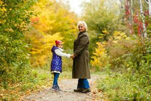 glücklich Senior Dame und ein wenig Kleinkind Mädchen, Oma und Enkelin, genießen ein gehen im das Park. Kind und Großelternteil. Herbst Tag. Oma und wenig Mädchen glücklich zusammen im das Garten foto