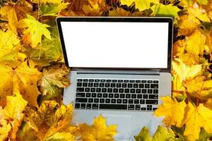 hell Ahorn Blatt auf das Laptop, oben Sicht. golden Herbst Hintergrund foto