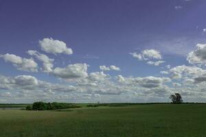 bunt Landschaft, Pampas, Argentinien foto