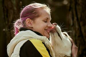 sibirischer husky-hund, der frau mit rosa haaren küsst, wahre liebe von mensch und haustier, lustiges treffen foto