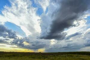 stürmisch Himmel fällig zu Regen im das Argentinien Landschaft, la Pampa Provinz, Patagonien, Argentinien. foto