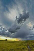 stürmisch Himmel fällig zu Regen im das Argentinien Landschaft, la Pampa Provinz, Patagonien, Argentinien. foto