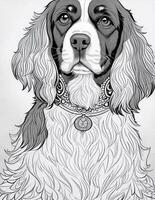 Färbung Buchseite, mandala, Englisch Springer Spaniel Hund auf ein Weiß Hintergrund, sauber Linie Kunst, fein Linie Kunst foto