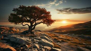 Baum auf Hügel mit das Sonnenuntergang ai generiert foto