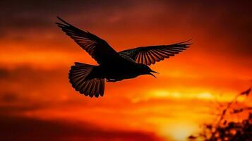 Vogel fliegend auf Sonnenuntergang Himmel ai generiert foto
