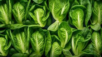 bok Choy Gemüse Hintergrund ai generiert foto