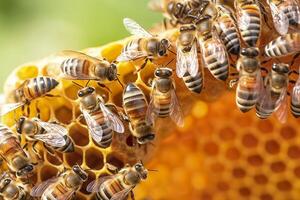 Honig Bienen auf Bienenwabe im Bienenhaus im Sommer, Honig Bienen kommunizieren mit jeder andere, ai generativ foto