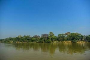 Fluss Landschaft und Dschungel, Pantanal, Brasilien foto