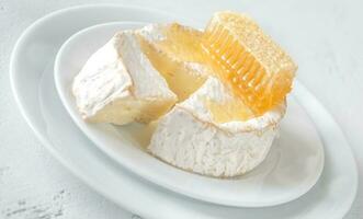 Camembert Käse mit Waben foto