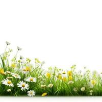 Frühling Gras und Blumen Hintergrund foto