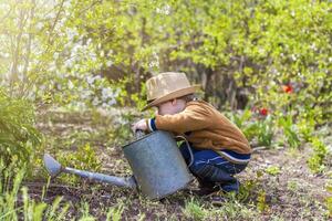 süß wenig Kleinkind Junge im ein Hut und Gummi Stiefel ist Bewässerung Pflanzen mit ein Bewässerung können im das Garten. ein charmant wenig Kind Portion seine Eltern wachsen Gemüse. foto