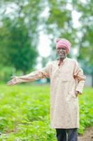 indisch Farmer zeigen Baumwolle Baum im Baumwolle Bauernhof , glücklich Farmer foto