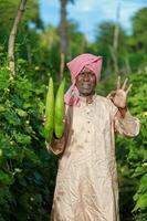 indisch Landwirtschaft, Farmer halten Flasche Kürbis, Gemüse frisch , glücklich Farmer foto