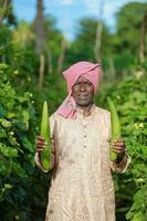 indisch Landwirtschaft, Farmer halten Flasche Kürbis, Gemüse frisch , glücklich Farmer foto