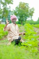 Farmer halten ein Baumwolle Baum im ein Baumwolle Feld, Baumwolle Baum, halten Blatt im Indien foto