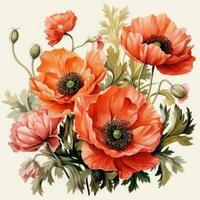 Aquarell Mohn Blumen Hintergrund foto