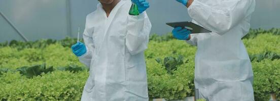 asiatisch Frau Farmer mit Digital Tablette im Gemüse Garten beim Gewächshaus, Geschäft Landwirtschaft Technologie Konzept, Qualität Clever Bauer. foto