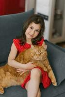 Kind Mädchen hält ihr Haustier rot britisch Katze im ihr Waffen und sitzt mit ihm auf das Couch beim Zuhause foto