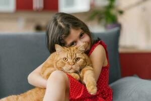 britisch Ingwer britisch Katze auf das Runde von ein zufrieden glücklich Mädchen foto