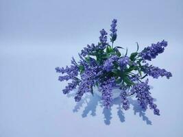 künstlich Lavendel Blume isoliert Weiß Hintergrund foto