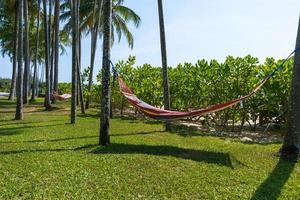 tropischer Strand mit Hängematte unter Palmen im Sonnenlicht