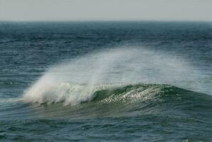 ein Person Reiten ein Surfbrett auf ein Welle foto