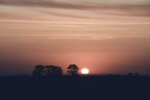 Sonnenuntergang auf las Pampas, Argentinien foto