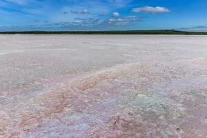 Salz- Feld im dunaliella Salz, Argentinien foto