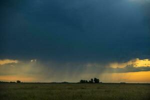 Landschaft las Pampas, Argentinien foto