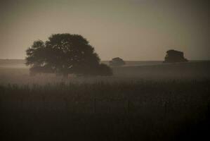 Landschaft las Pampas, Argentinien foto