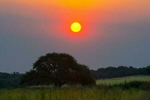 ein groß Sonne ist gesehen im das Himmel Über ein Feld foto