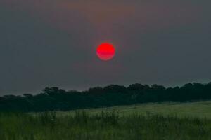 ein rot Sonne ist gesehen im das Himmel Über ein Feld foto