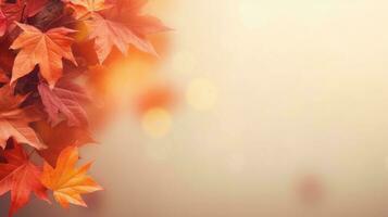 Herbstlaub Hintergrund mit Textfreiraum foto