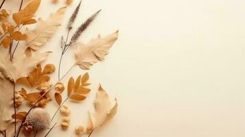 Herbst minimalistisch Beige Hintergrund foto