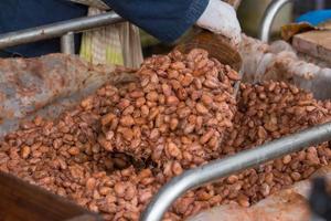 fermentierte und frische Kakaobohnen liegen in der Holzkiste