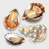 Austern mit Perlen foto