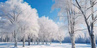 ai generiert. ai generativ. Winter Wald Baum Winter Schnee Garten Park Landschaft. Grafik Kunst foto
